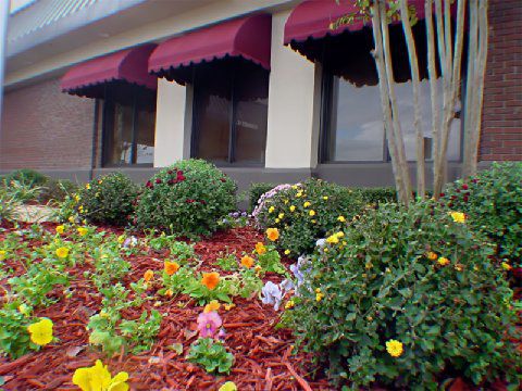 Holiday Inn Jonesboro Comodidades foto